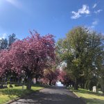 Hillside Cemetery -