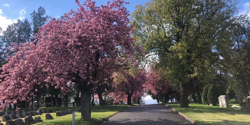 Hillside Cemetery Hillside Cemetery