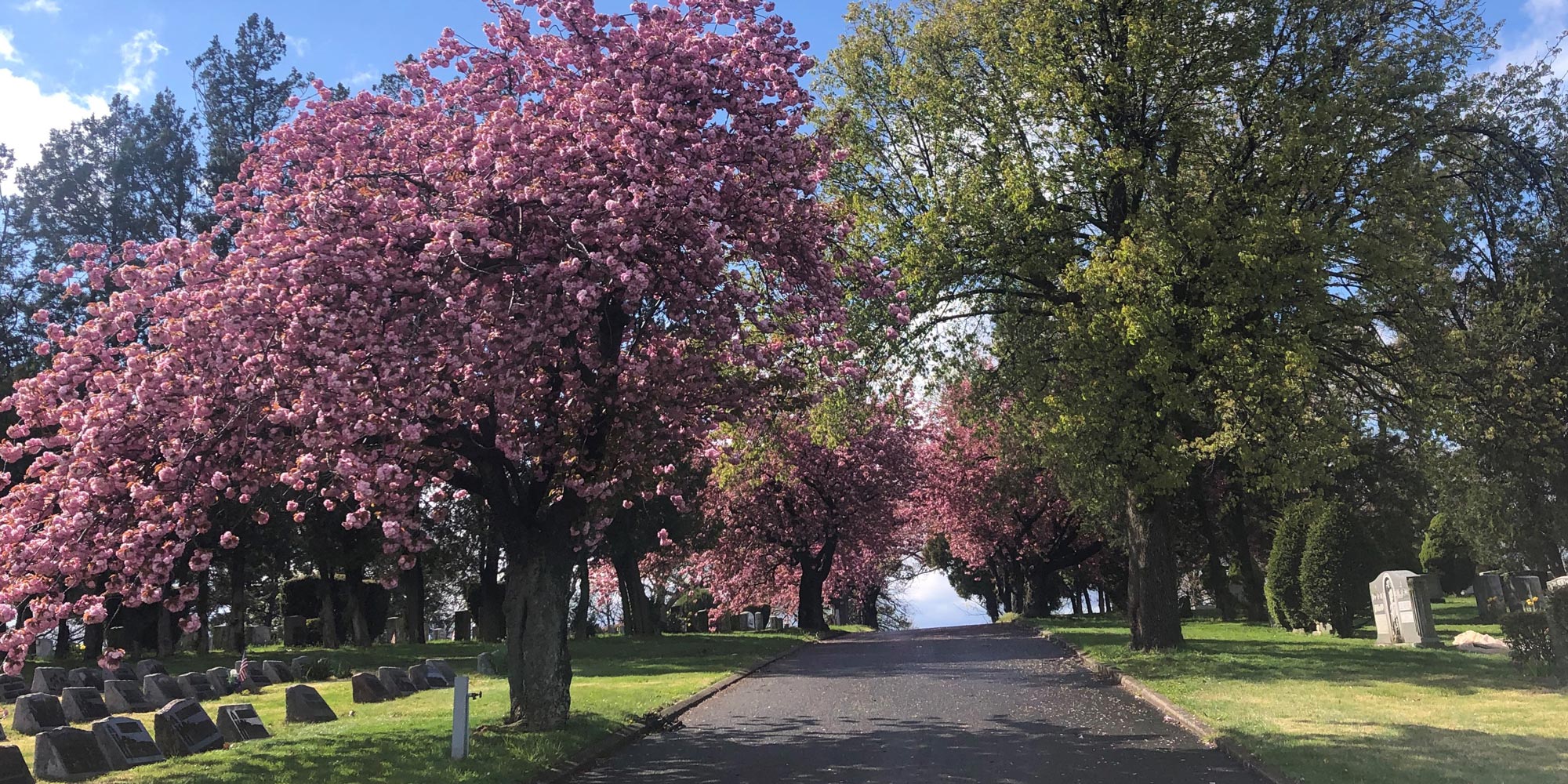 Hillside Cemetery Located in Lyndhurst, NJ Founded in 1882